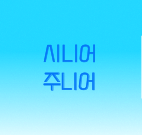 시니어 주니어