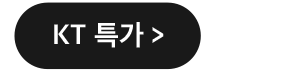 kt특가