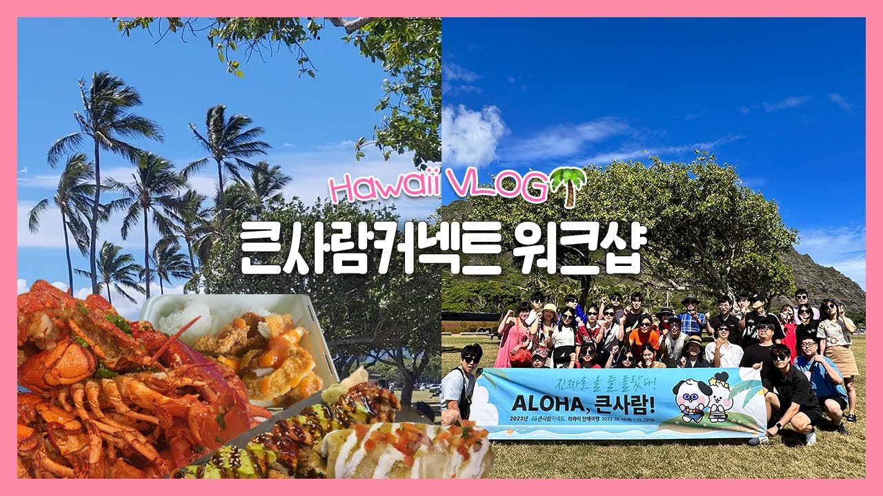 🌴하와이 워크샵 브이로그 ep.2🌈ㅣ4박 6일 뽕 뽑기ㅣ하얏트리젠시ㅣ울프강 스테이크ㅣ와이키키 해변ㅣ모자섬 등등